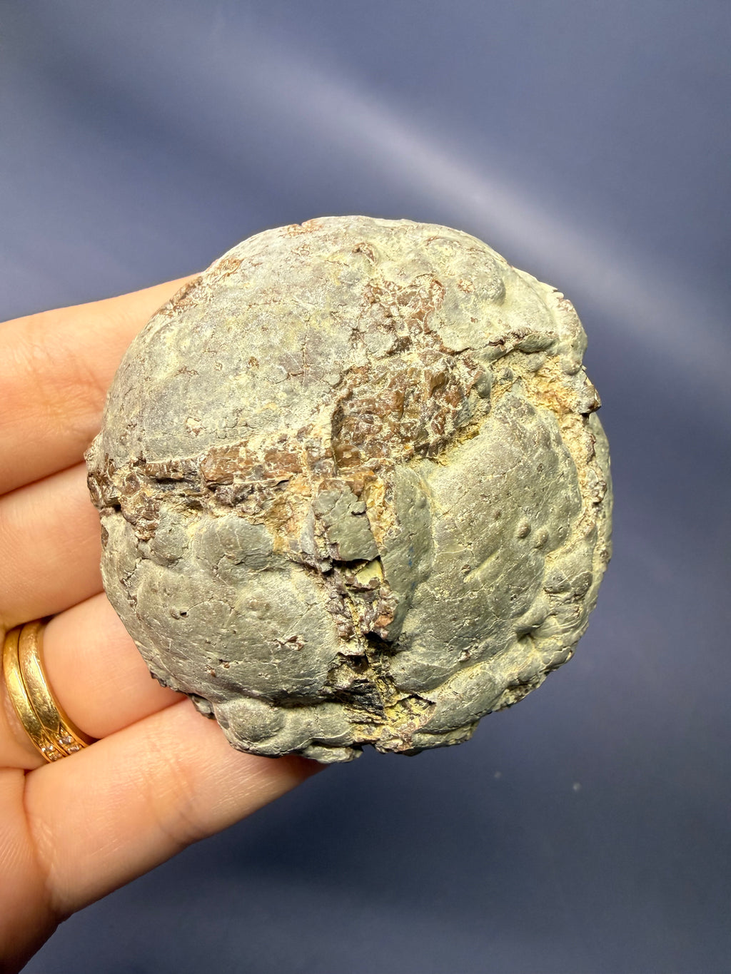 Oregon Thunder Egg