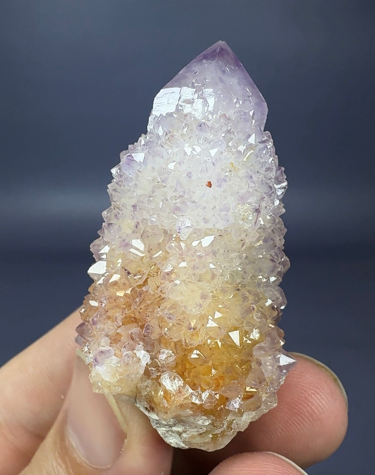 Auction Win: Bi-Color ‘Spirit’ Amethyst