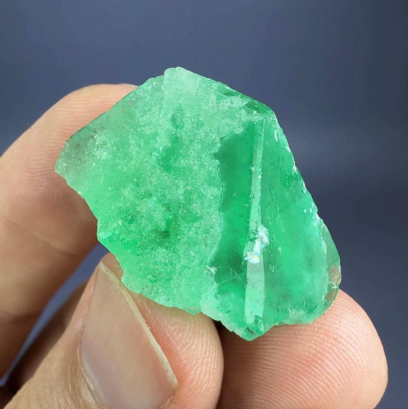 Auction Win: Fluorite