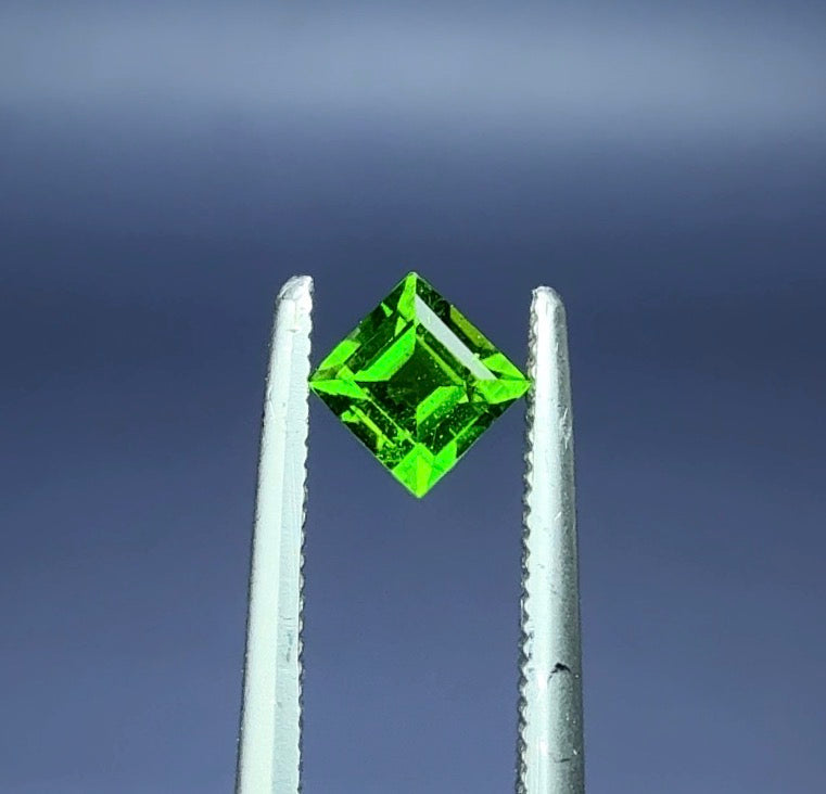 Auction Win: Chrome Diopside .39ct