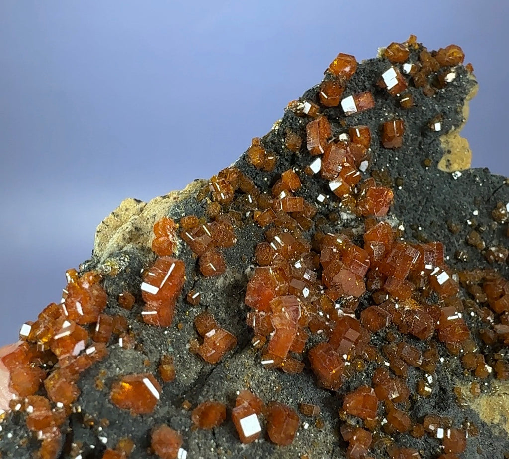 Auction Win: Vanadinite on Goethite (good luster)