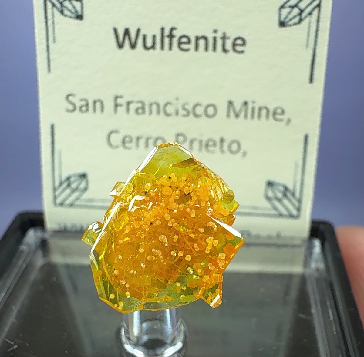 Auction Win: Mimetite included Wulfenite