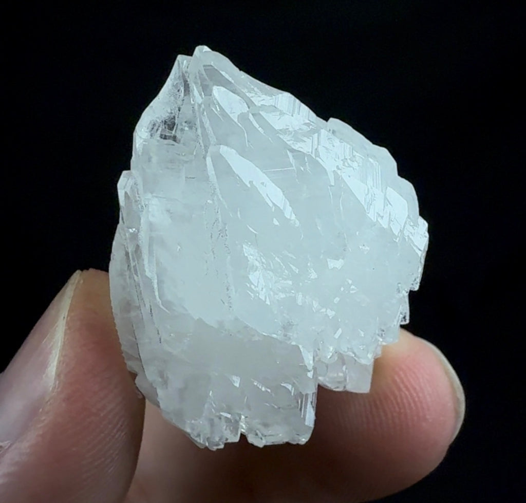 Auction Win: Calcite (twinned)