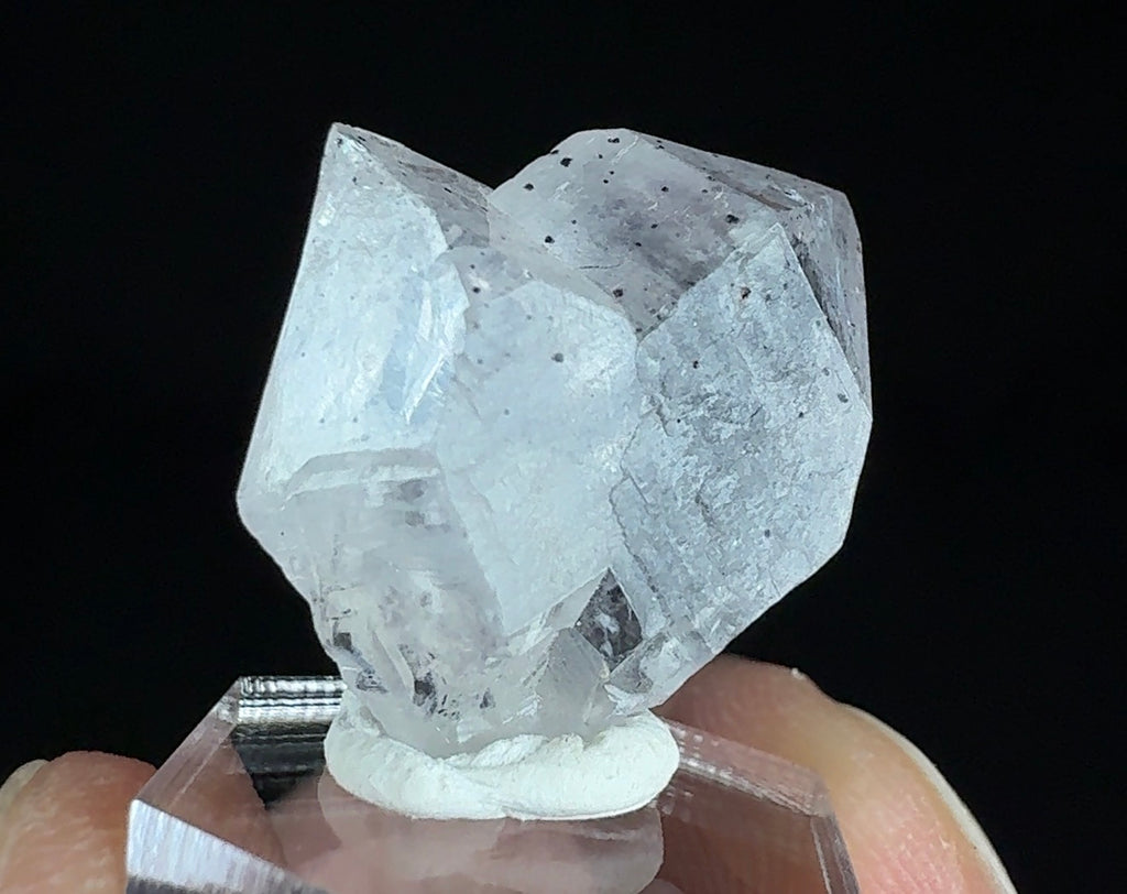 Auction Win: Quartz “Japan Law” Twin