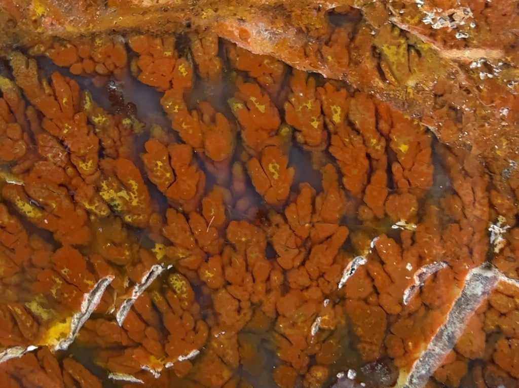 Auction Win: Plume Agate Cabachon