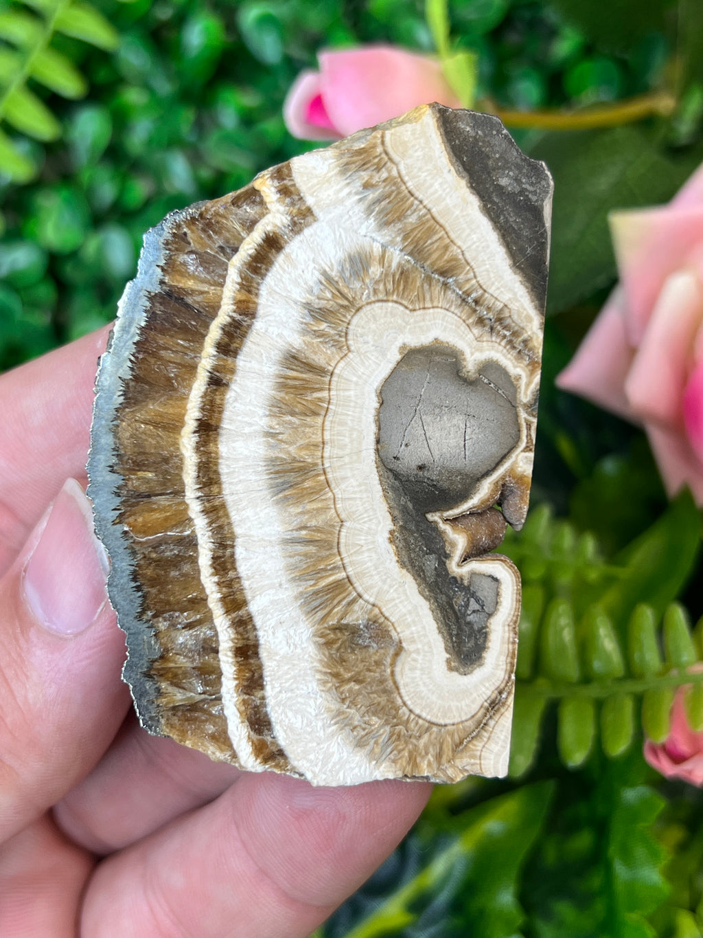 Baryte and Marcasite