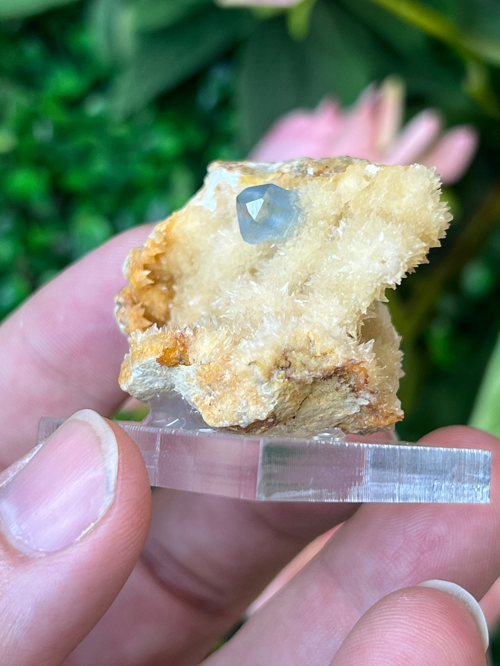 Celestine on Calcite