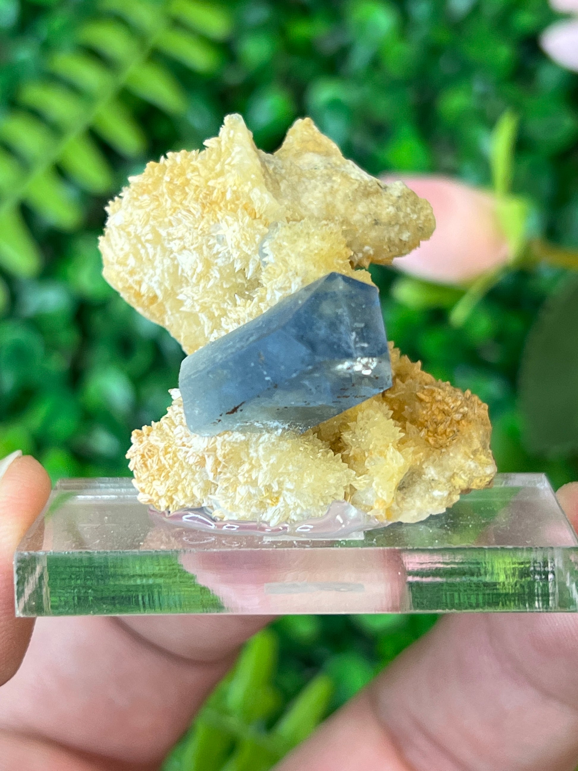 Celestine on Calcite
