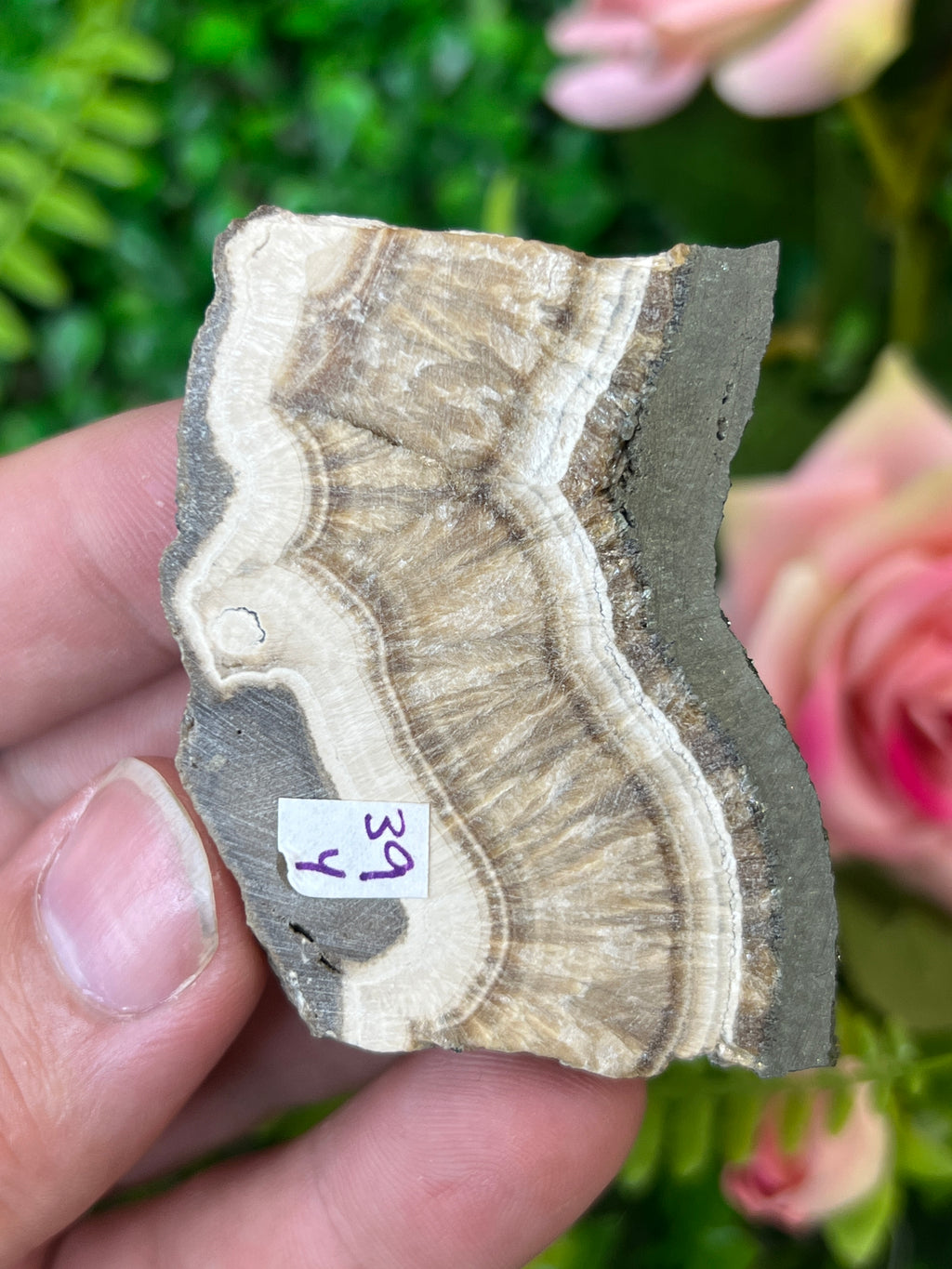 Baryte and Marcasite