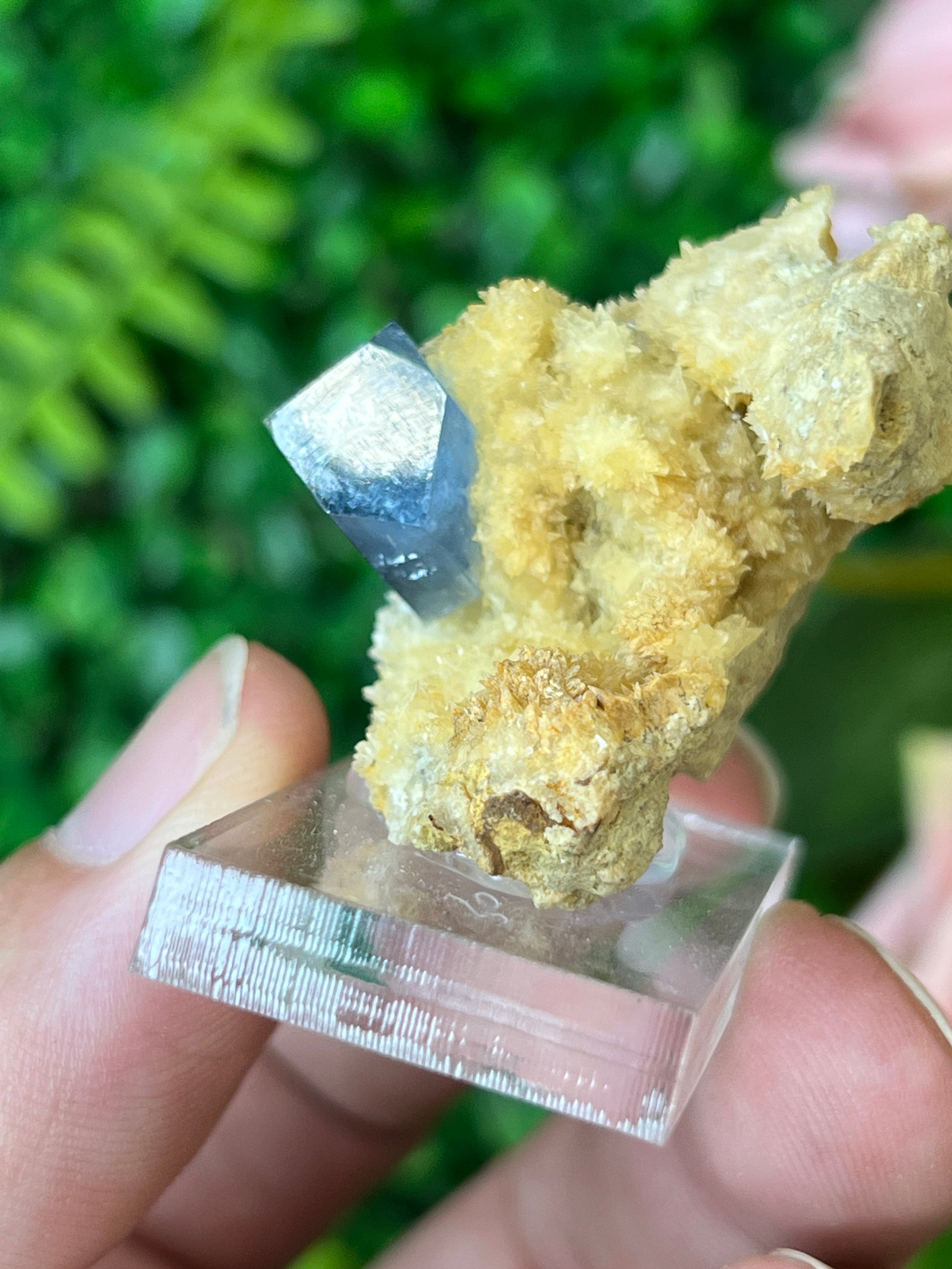 Celestine on Calcite