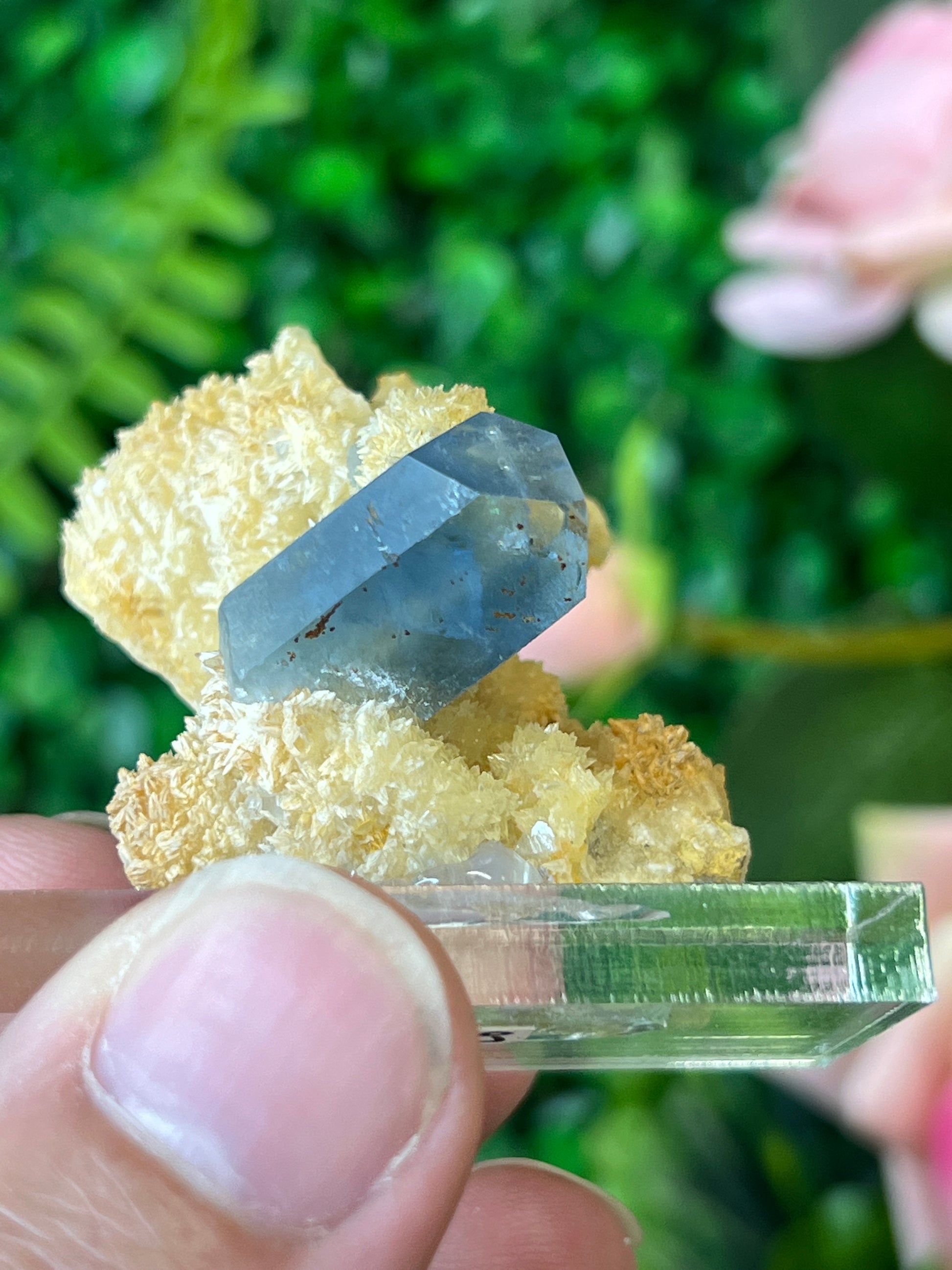 Celestine on Calcite
