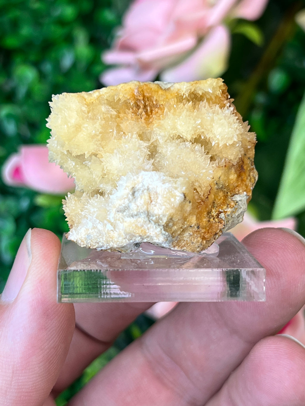 Celestine on Calcite