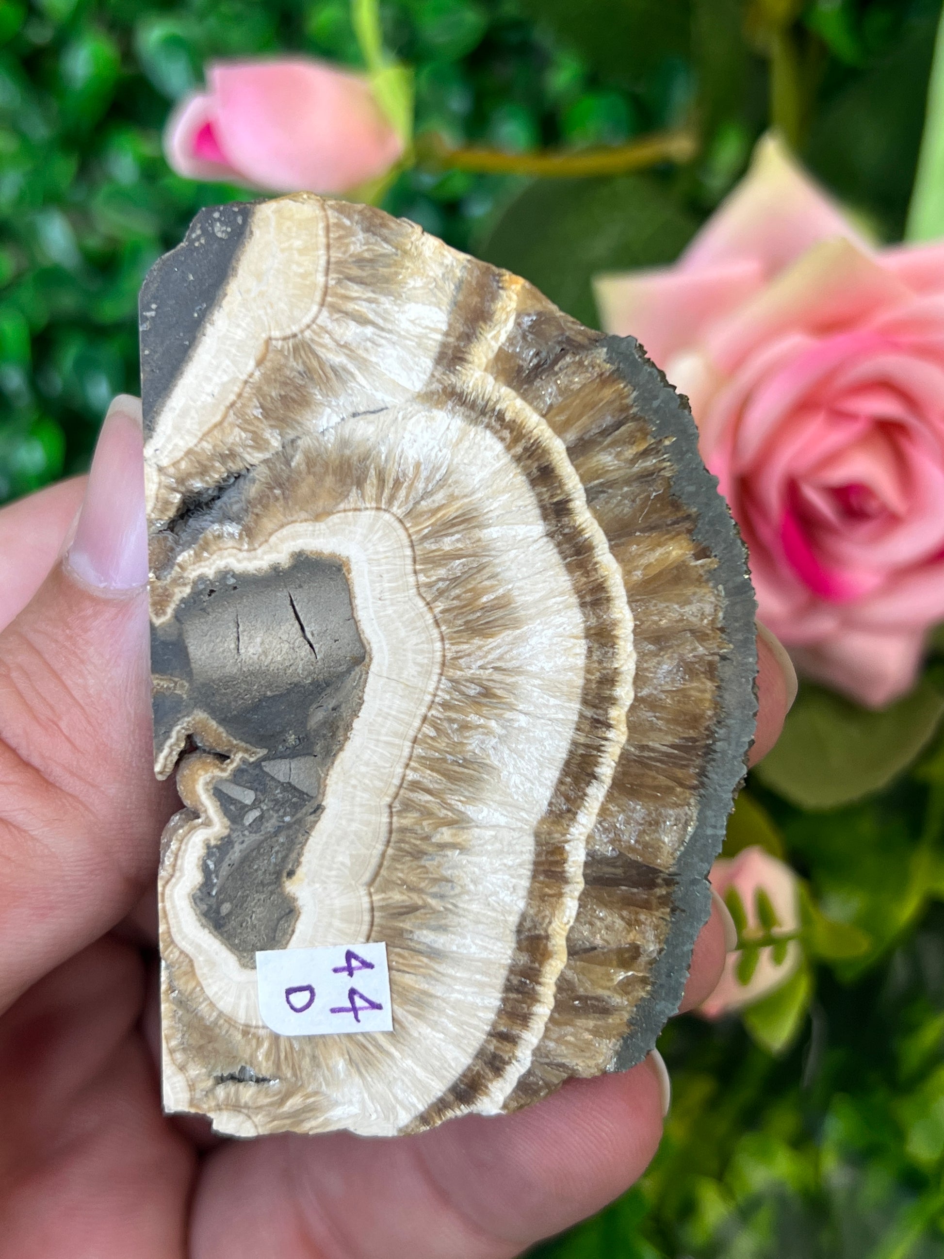Baryte and Marcasite