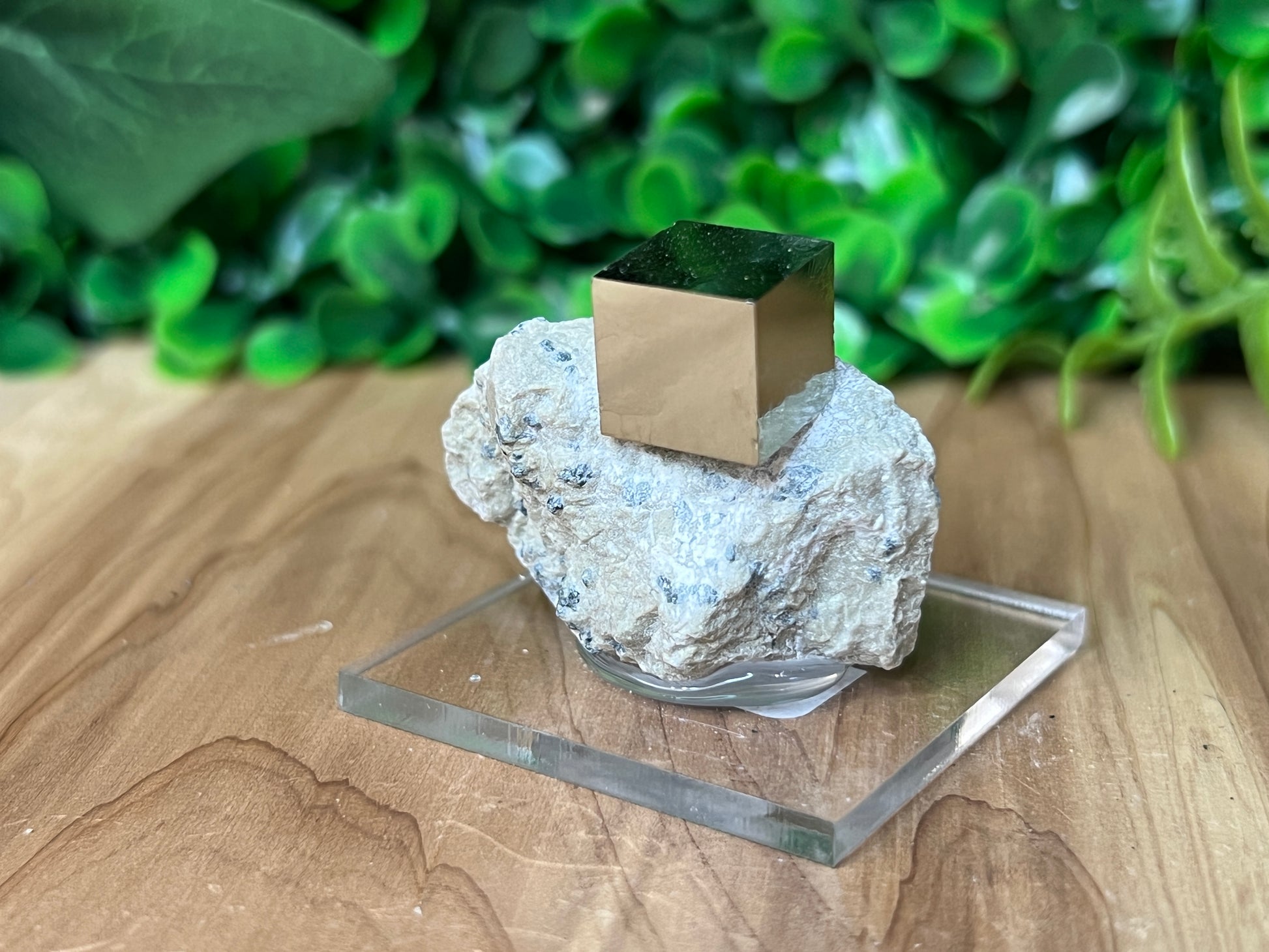 Pyrite Cube on Matrix