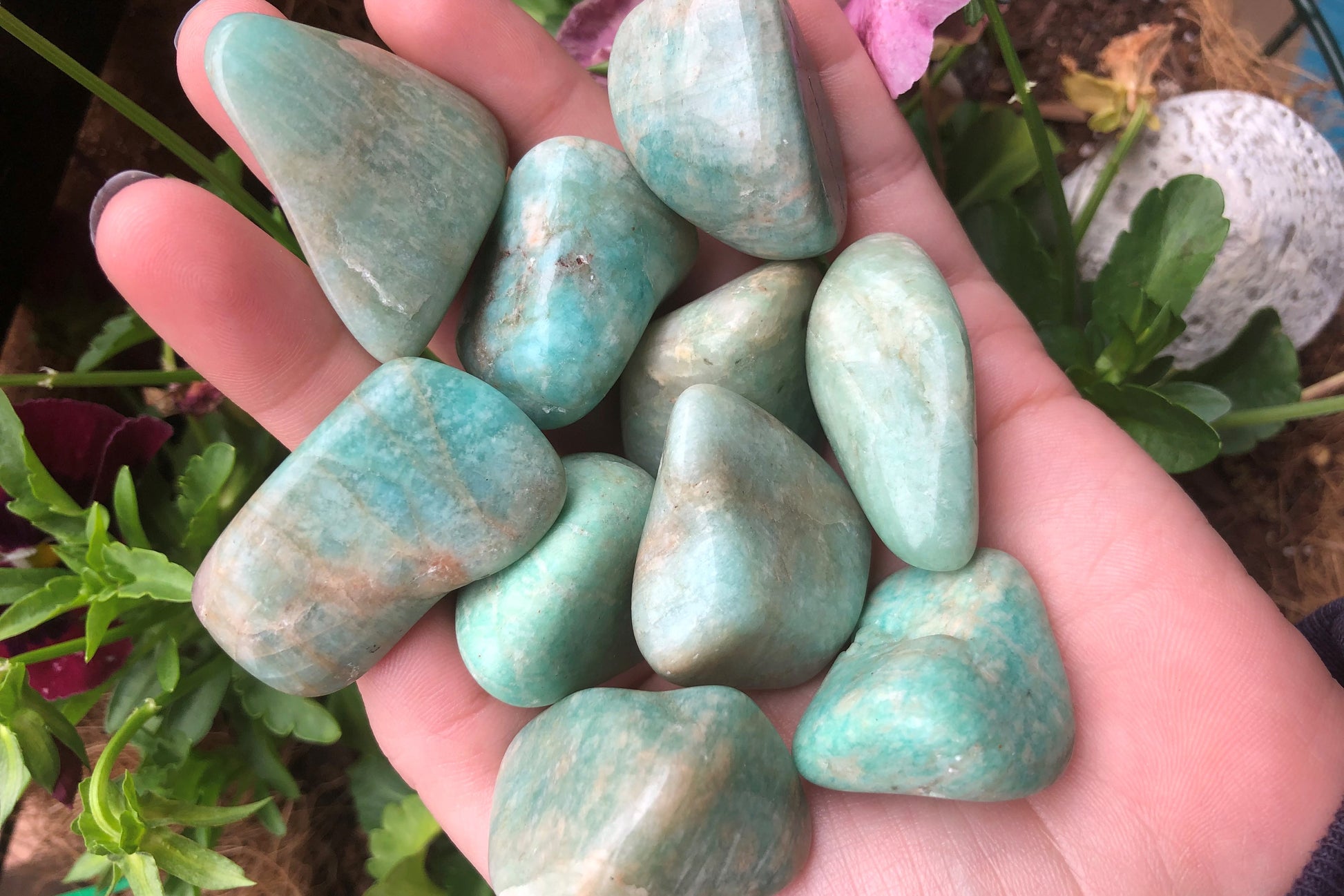 Amazonite Tumbled Stones