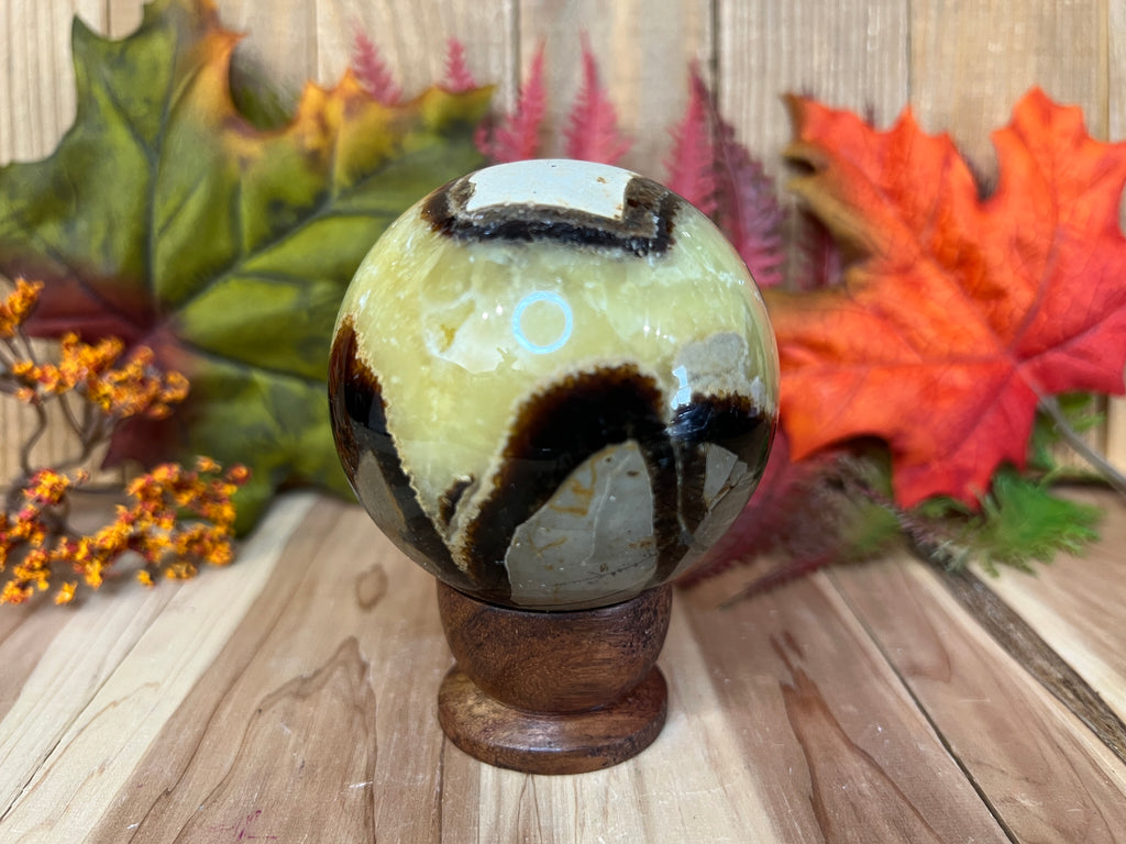 Septarian Sphere