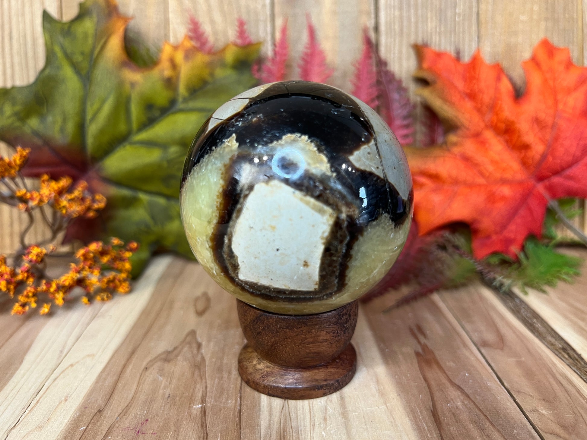 Septarian Sphere