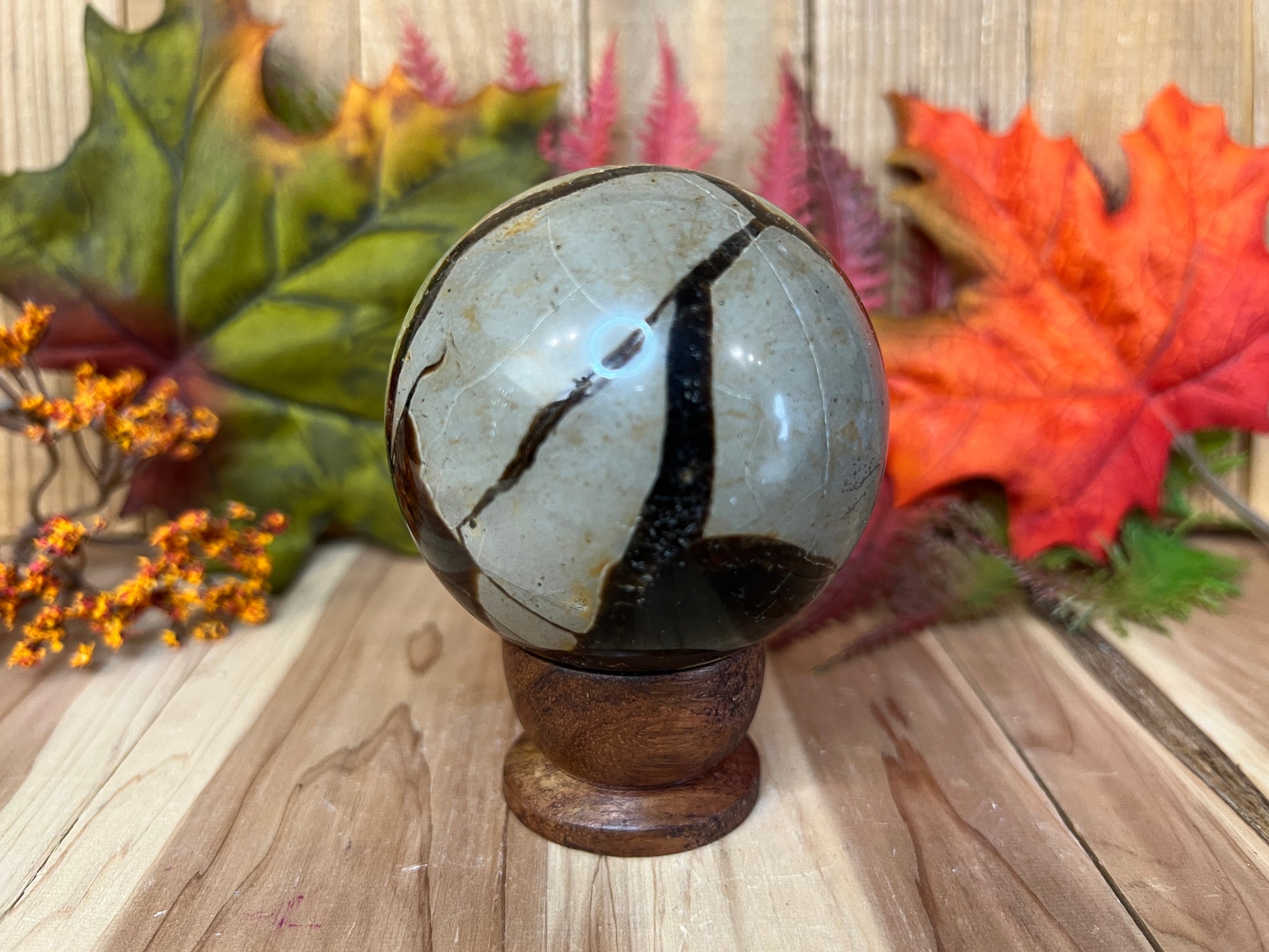 Septarian Sphere