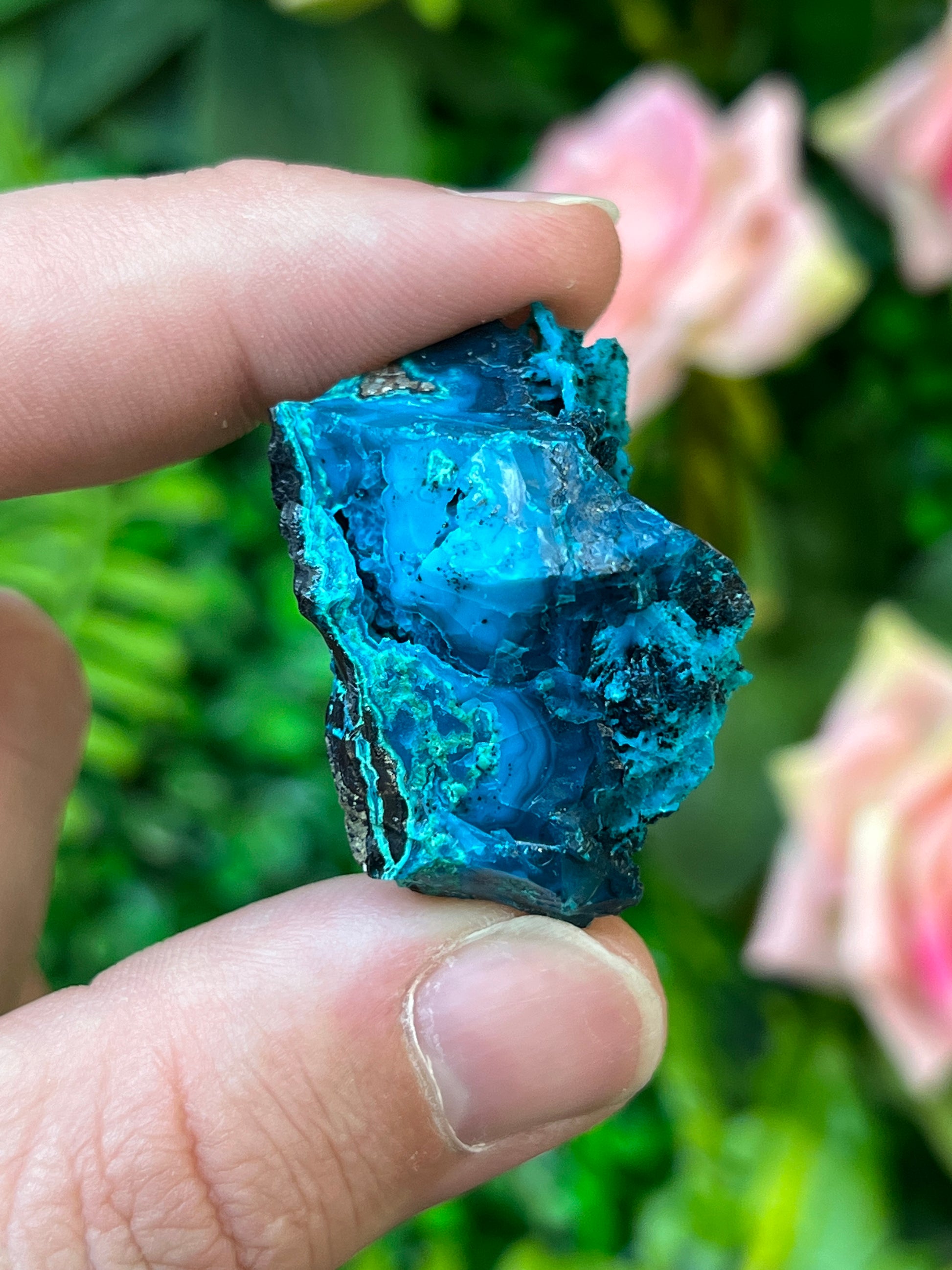 Chrysocolla and Malachite *Pseudomorph*