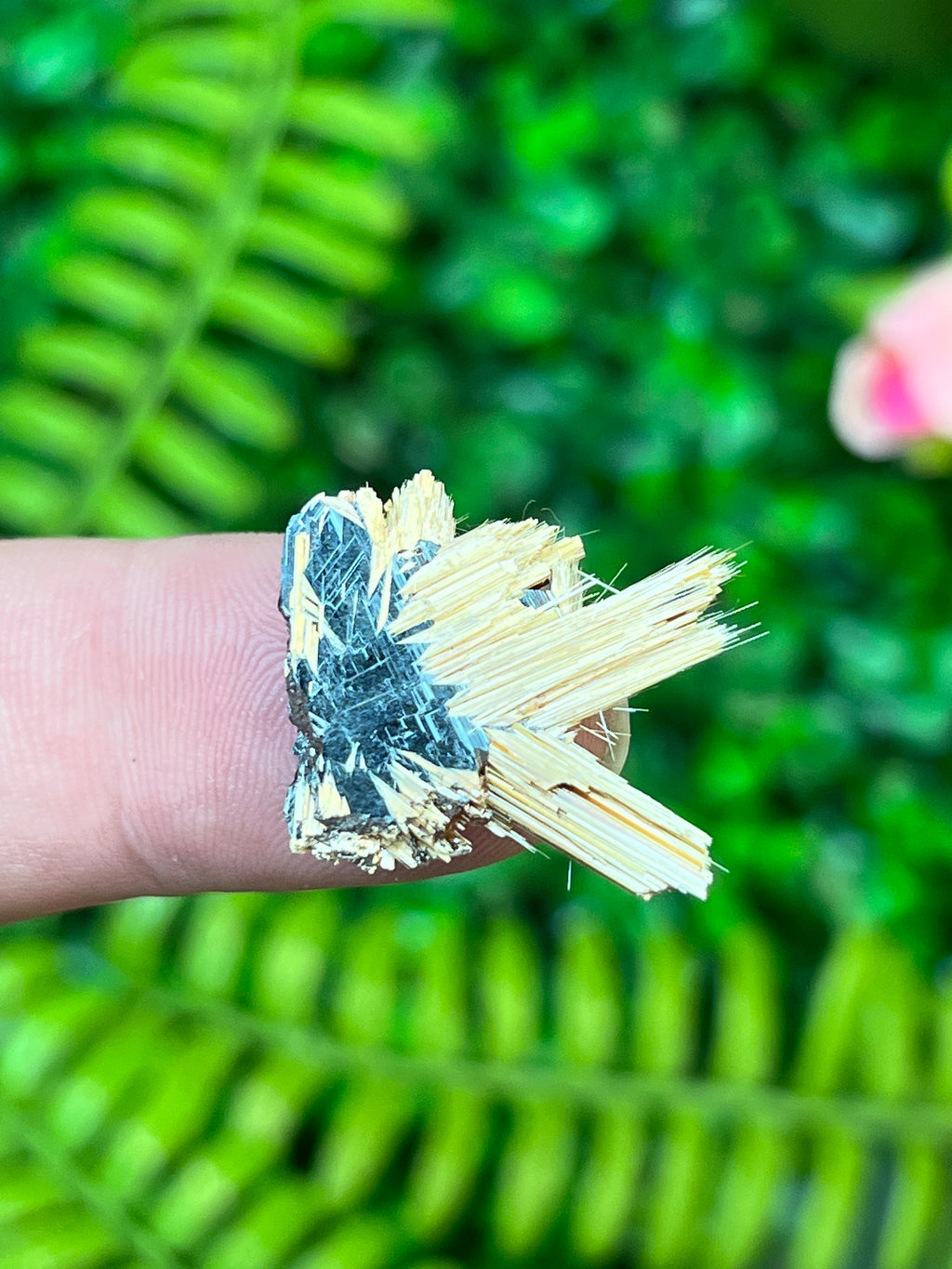 Rutile on Hematite
