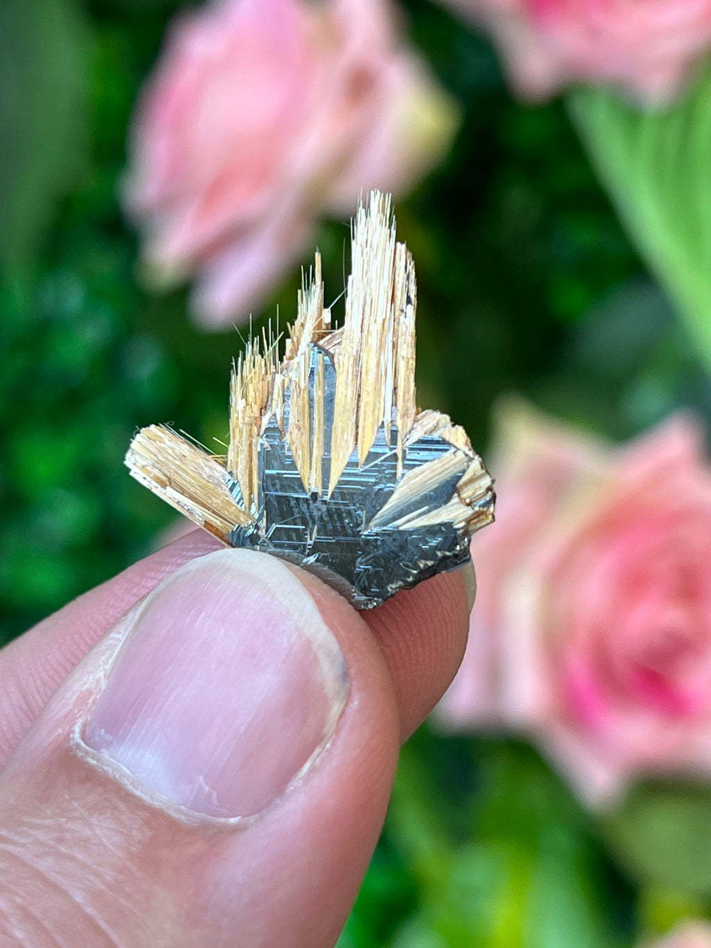 Rutile on Hematite