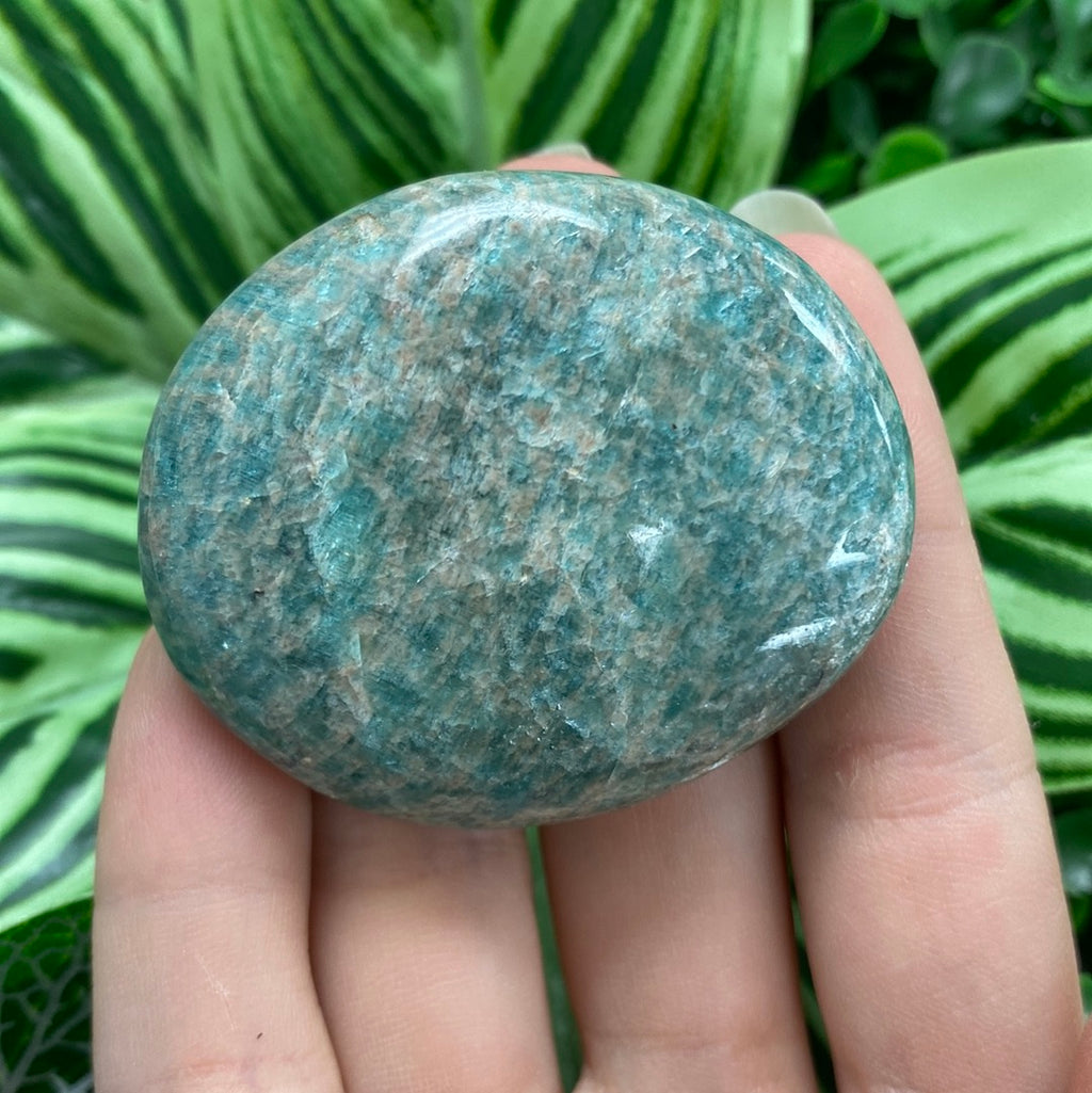 Amazonite Palm