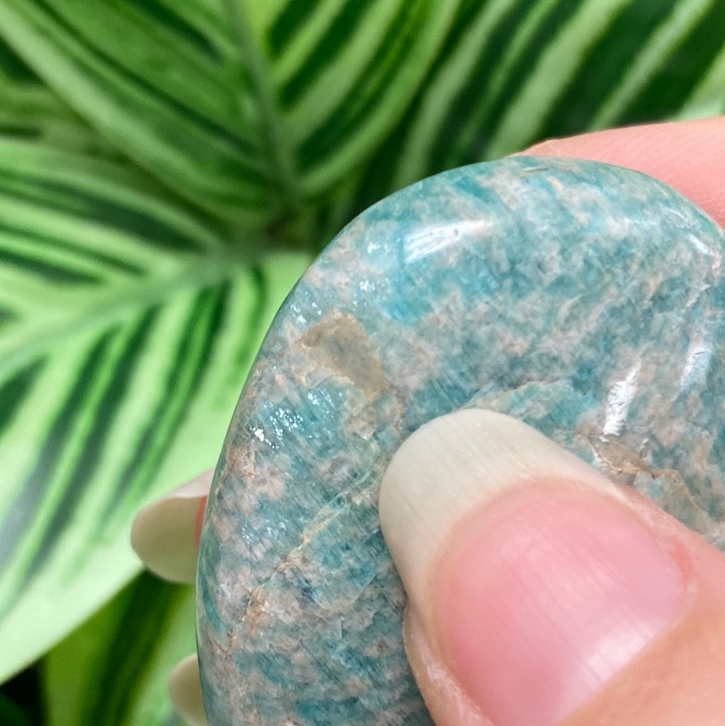 Amazonite Palm