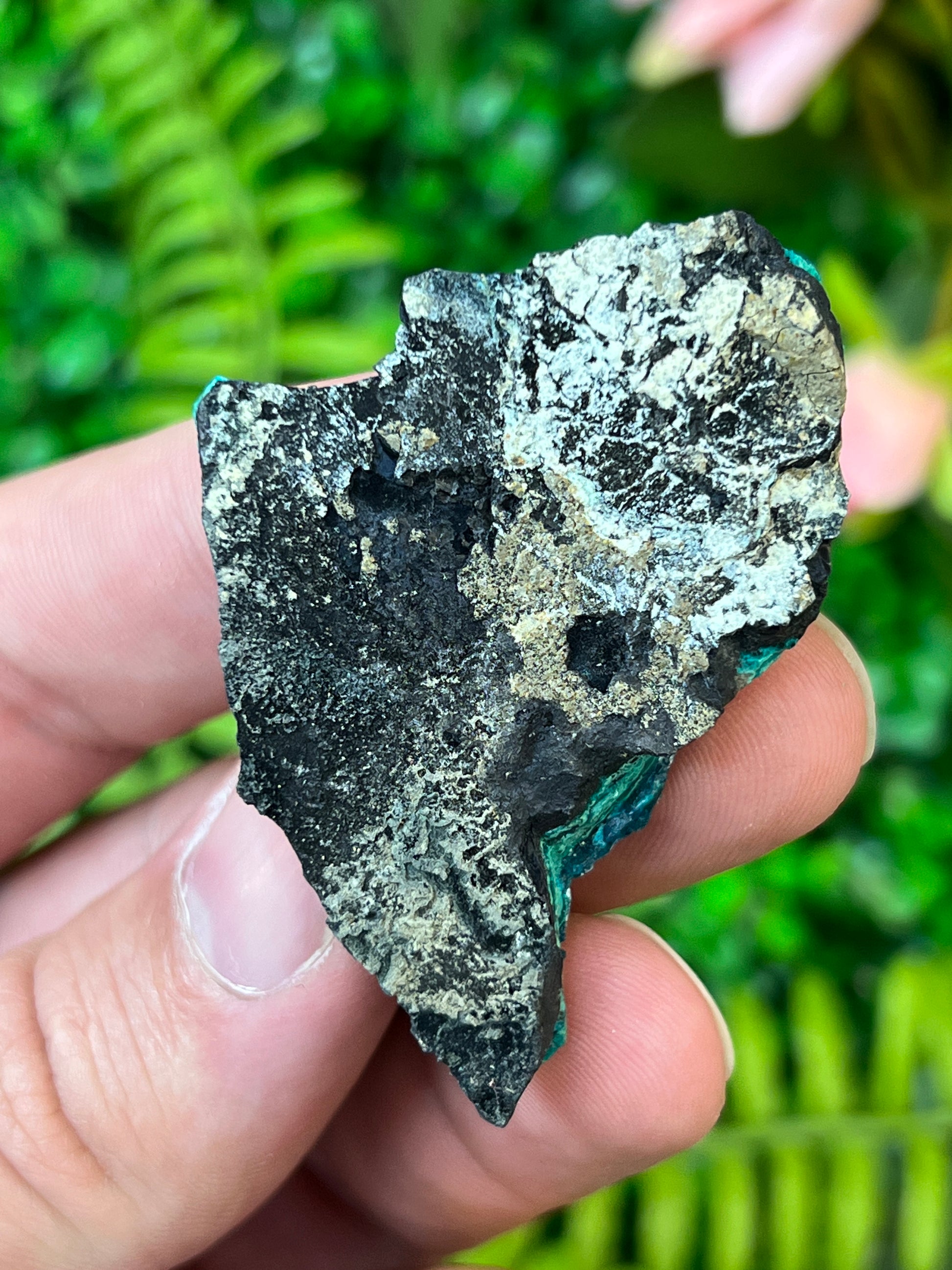Chrysocolla and Malachite *Pseudomorph*