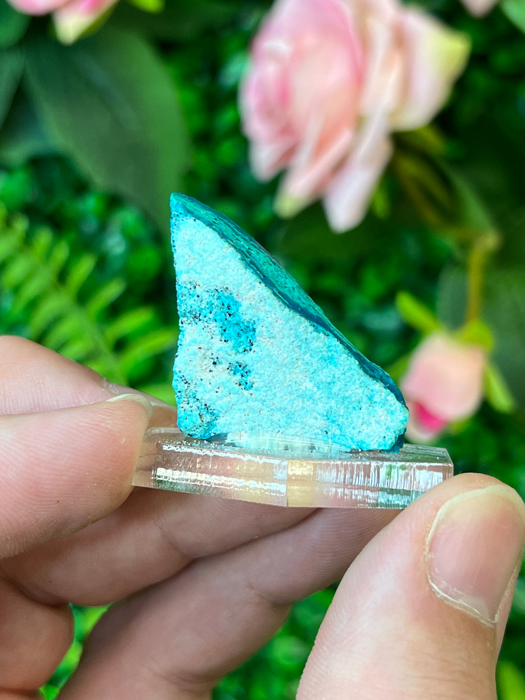 Chrysocolla and Malachite