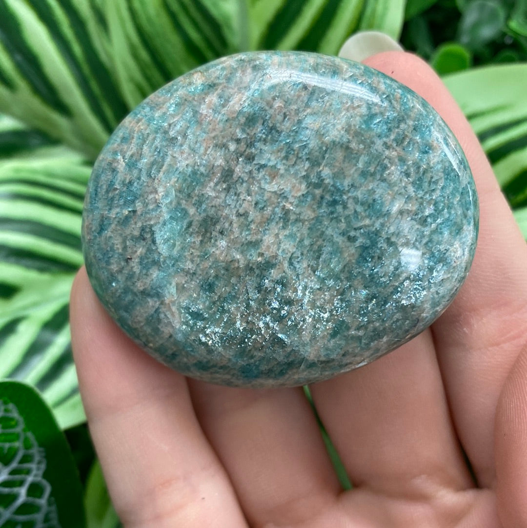Amazonite Palm