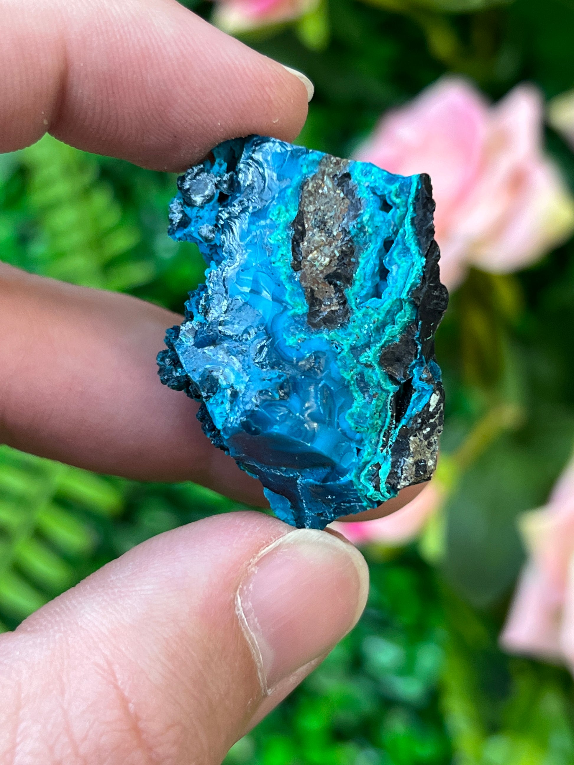Chrysocolla and Malachite *Pseudomorph*