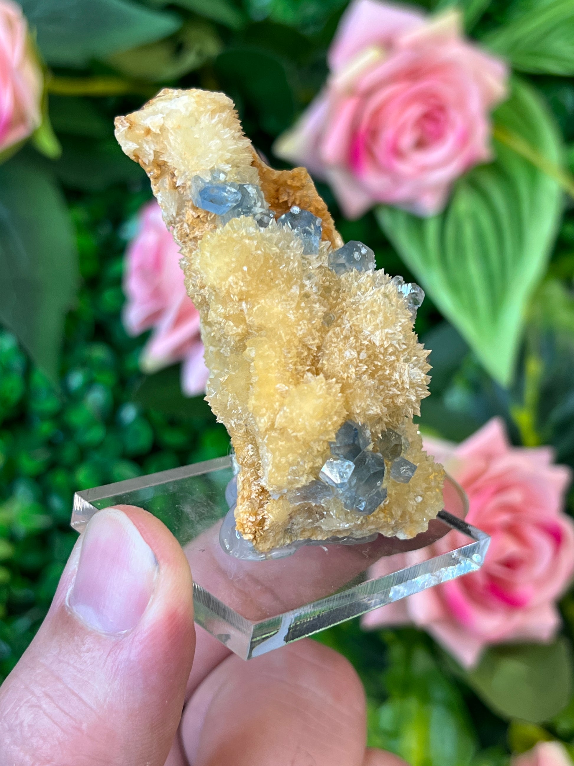 Celestine on Calcite