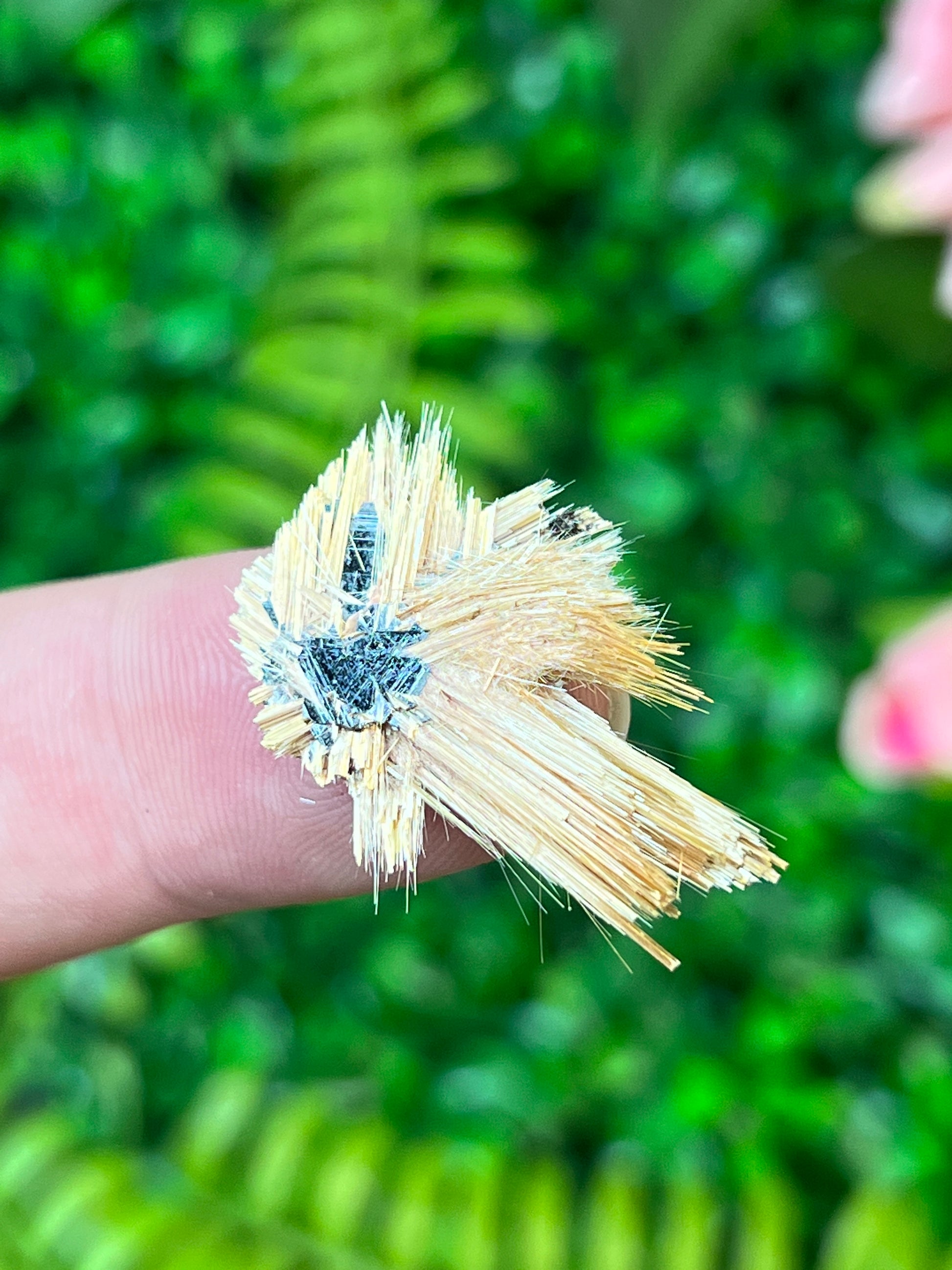 Rutile on Hematite