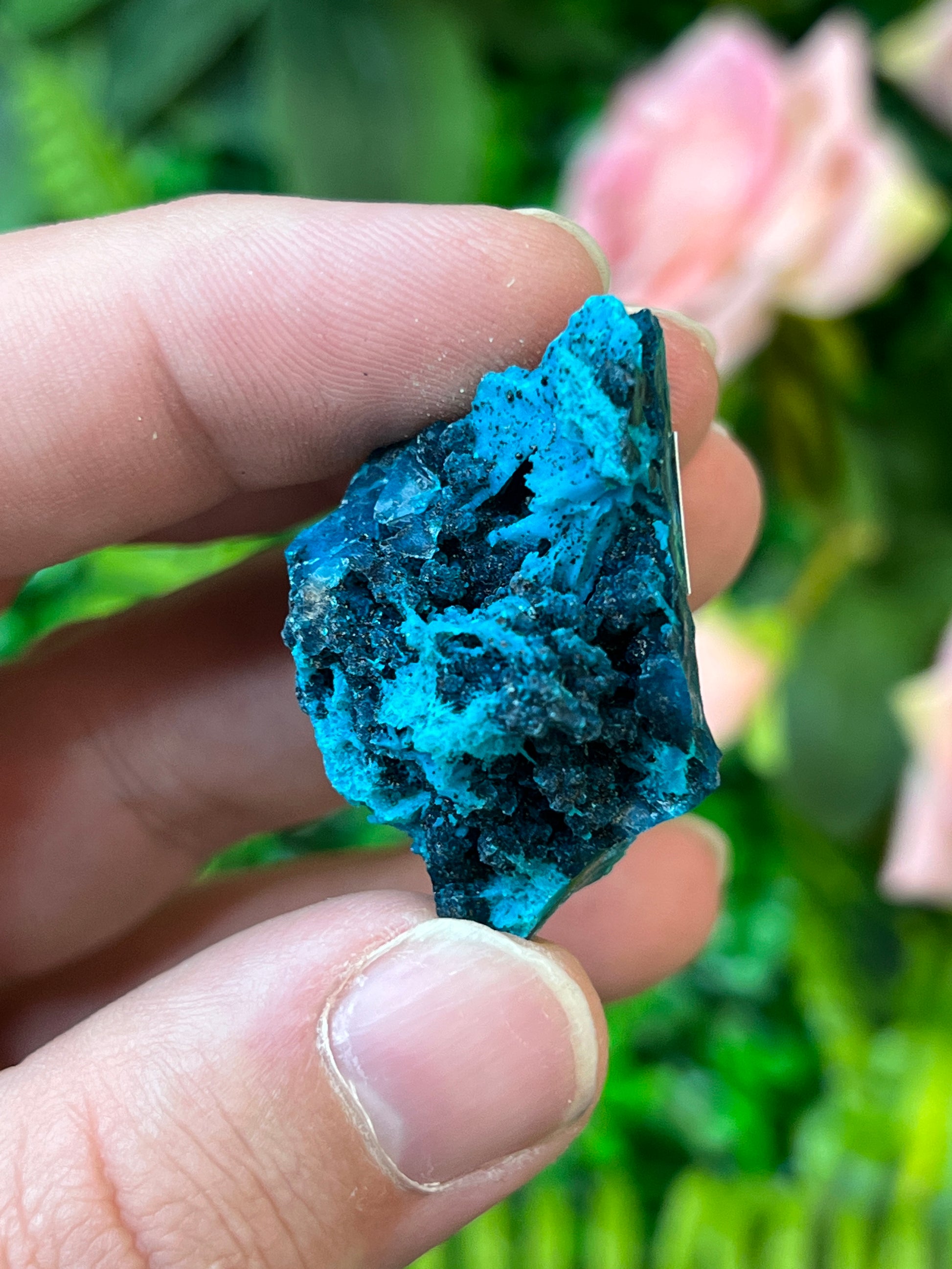 Chrysocolla and Malachite *Pseudomorph*