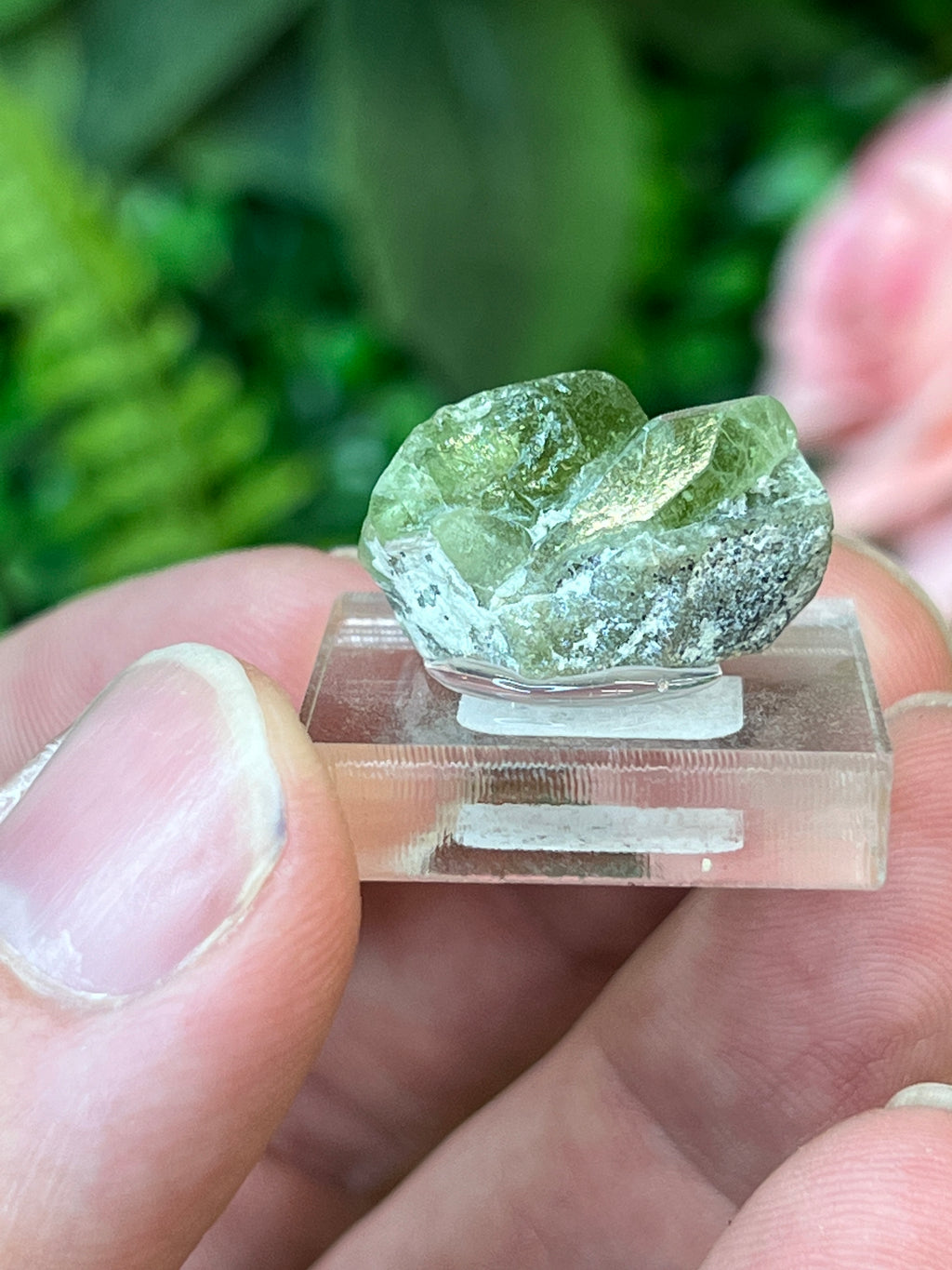 Forsterite var. Peridot