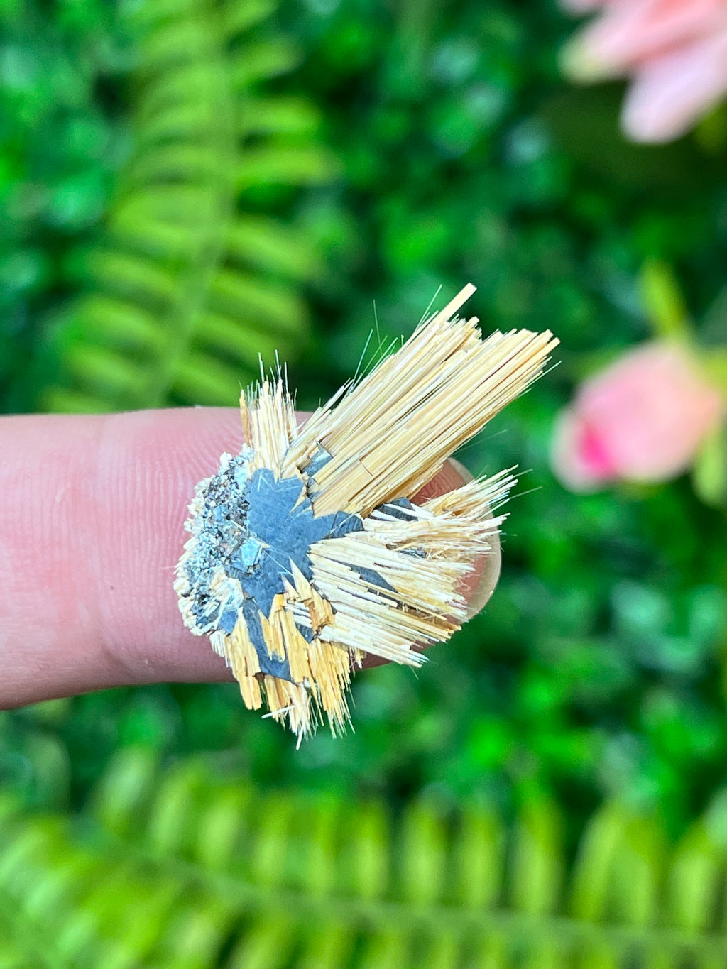 Rutile on Hematite