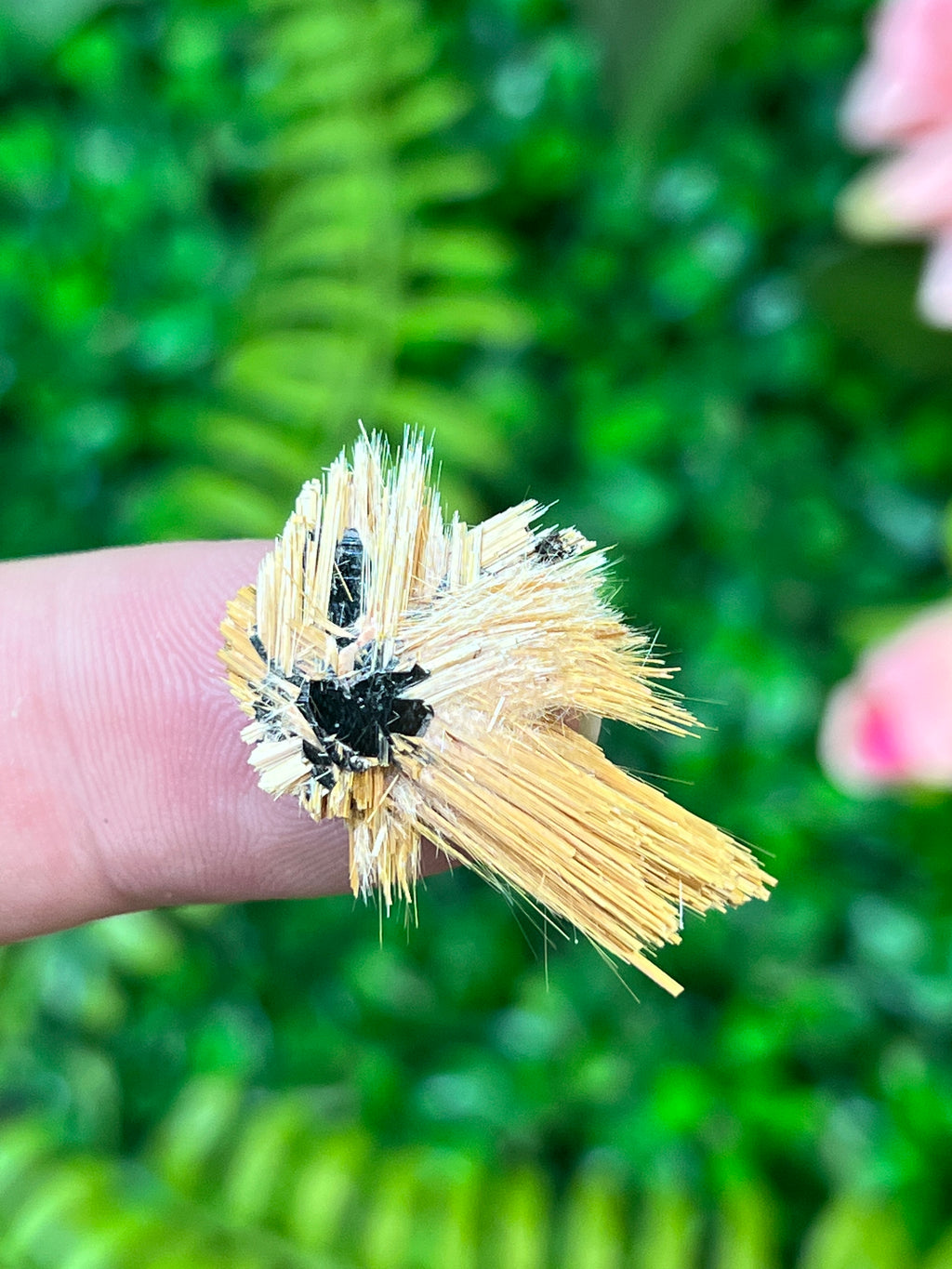 Rutile on Hematite