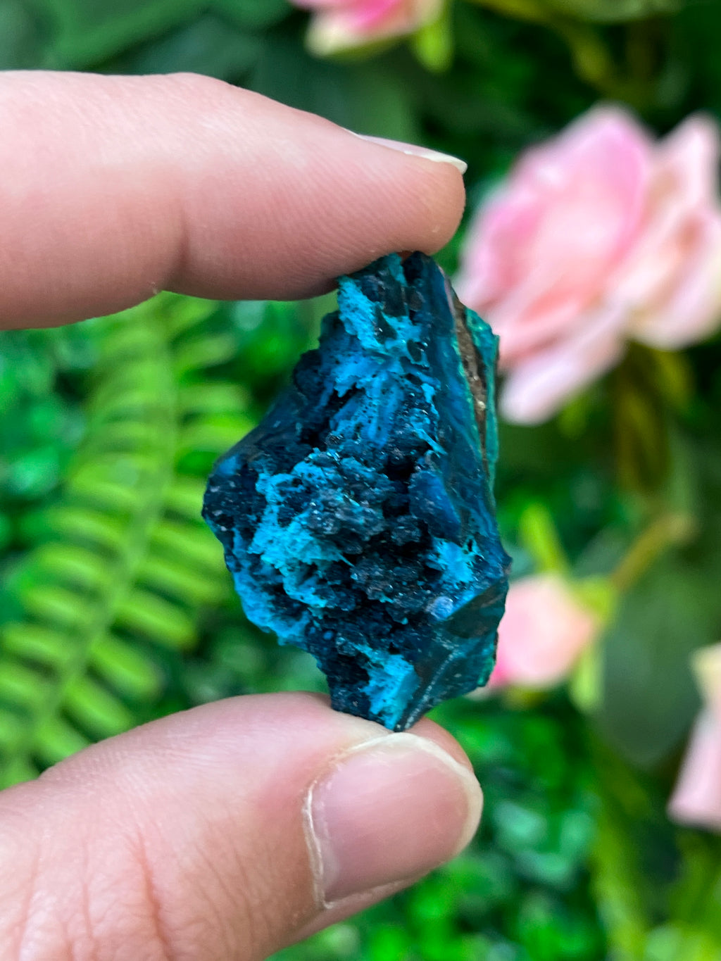 Chrysocolla and Malachite *Pseudomorph*