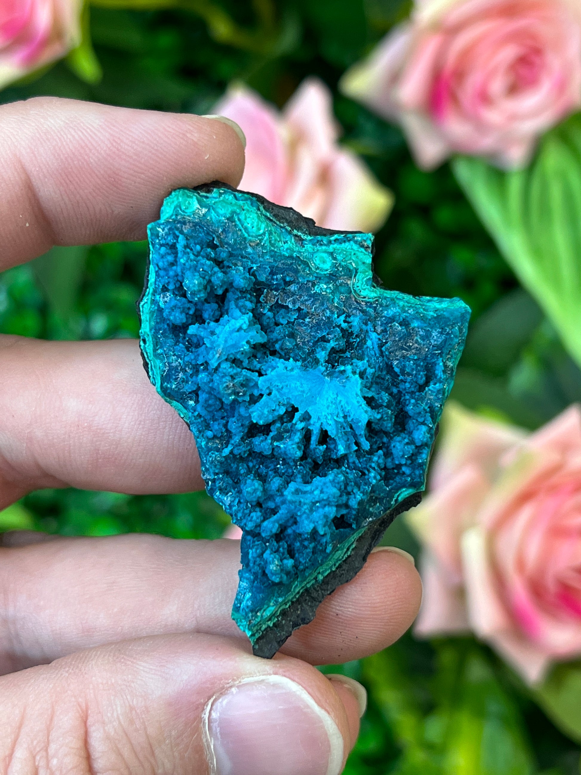 Chrysocolla and Malachite *Pseudomorph*