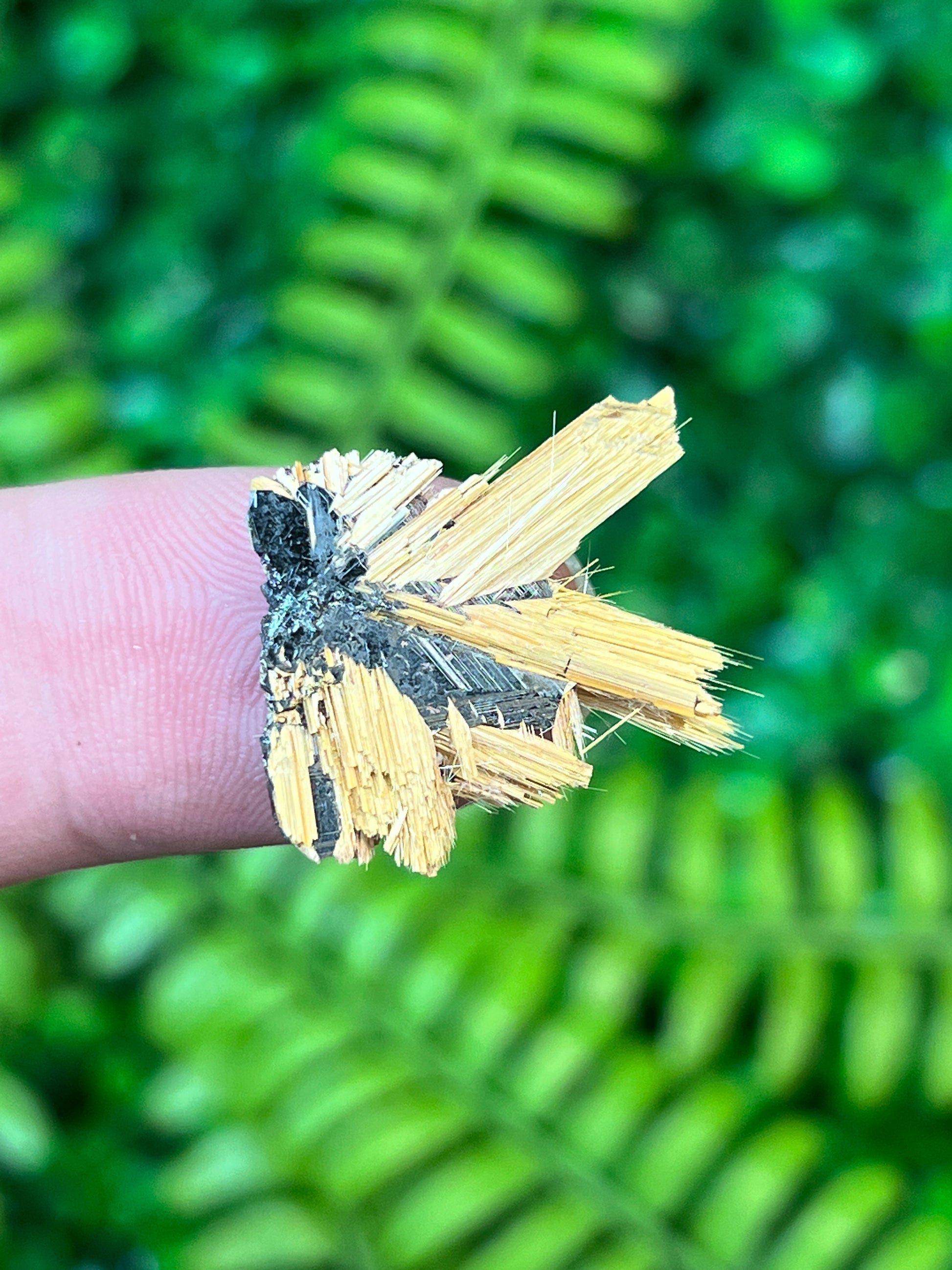 Rutile on Hematite