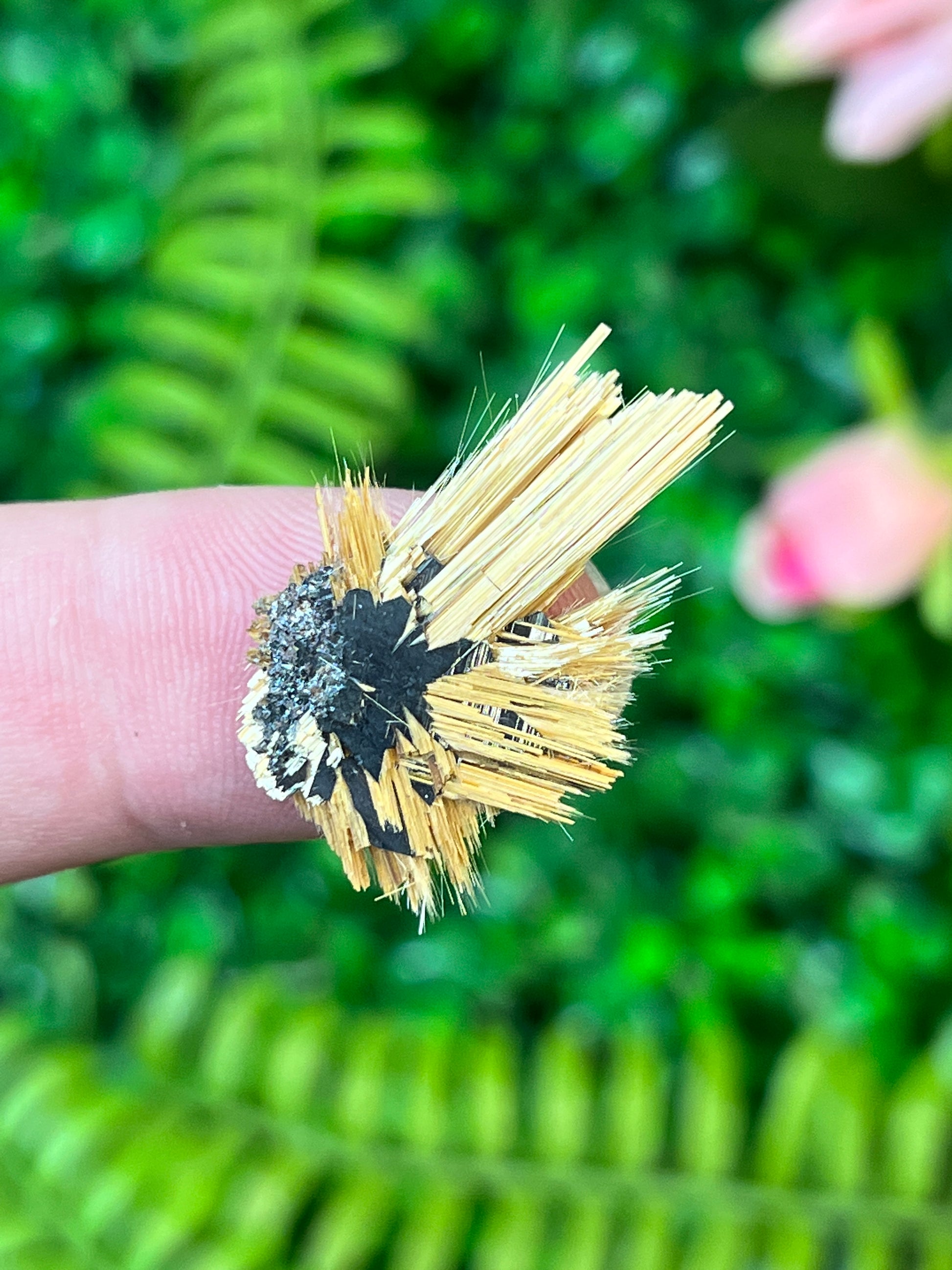 Rutile on Hematite