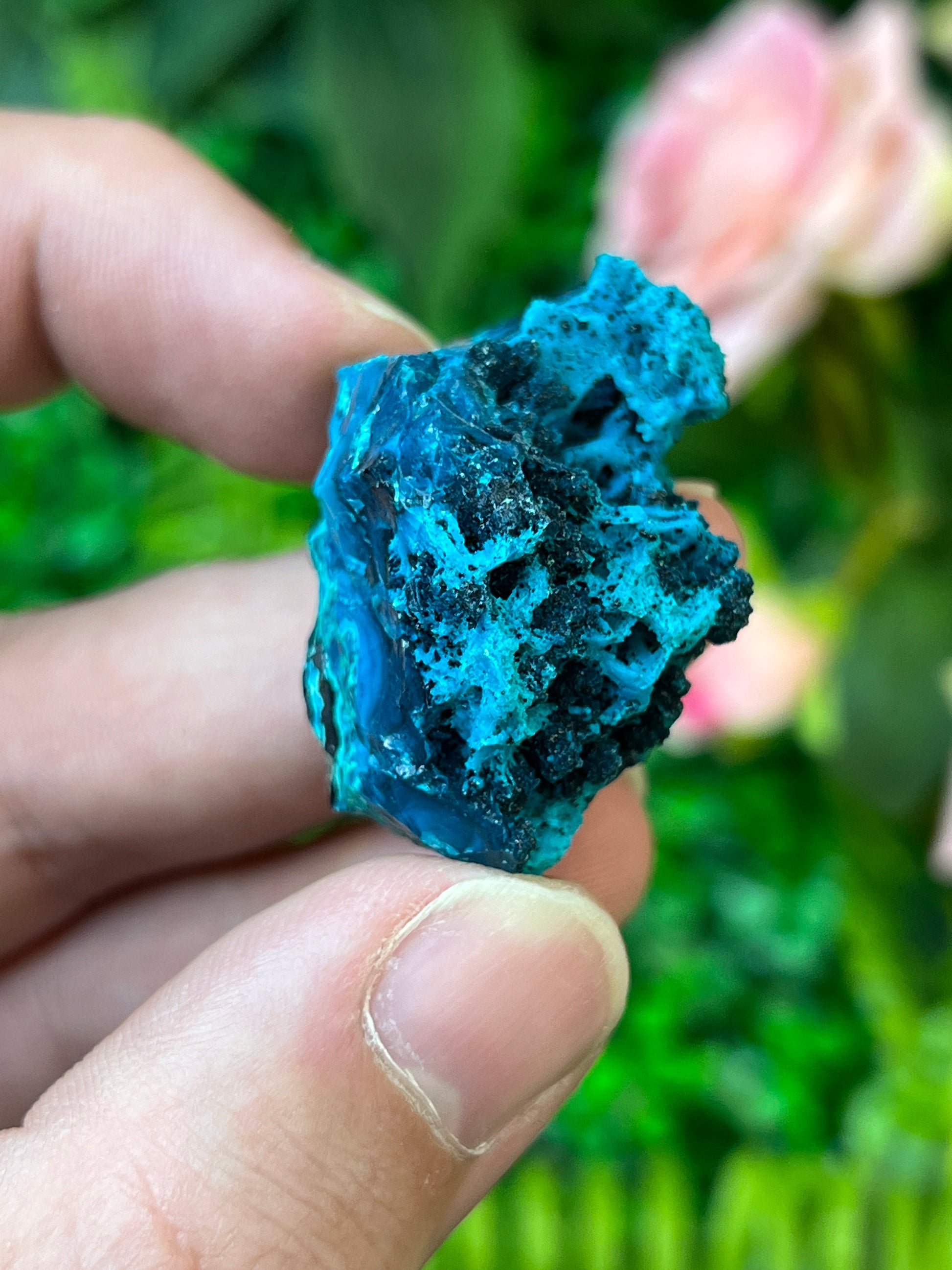 Chrysocolla and Malachite *Pseudomorph*