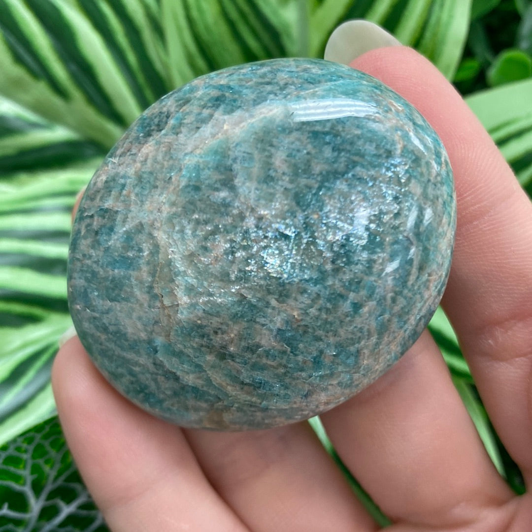 Amazonite Palm