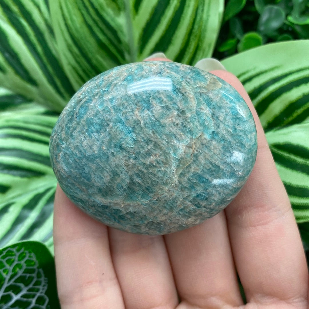 Amazonite Palm