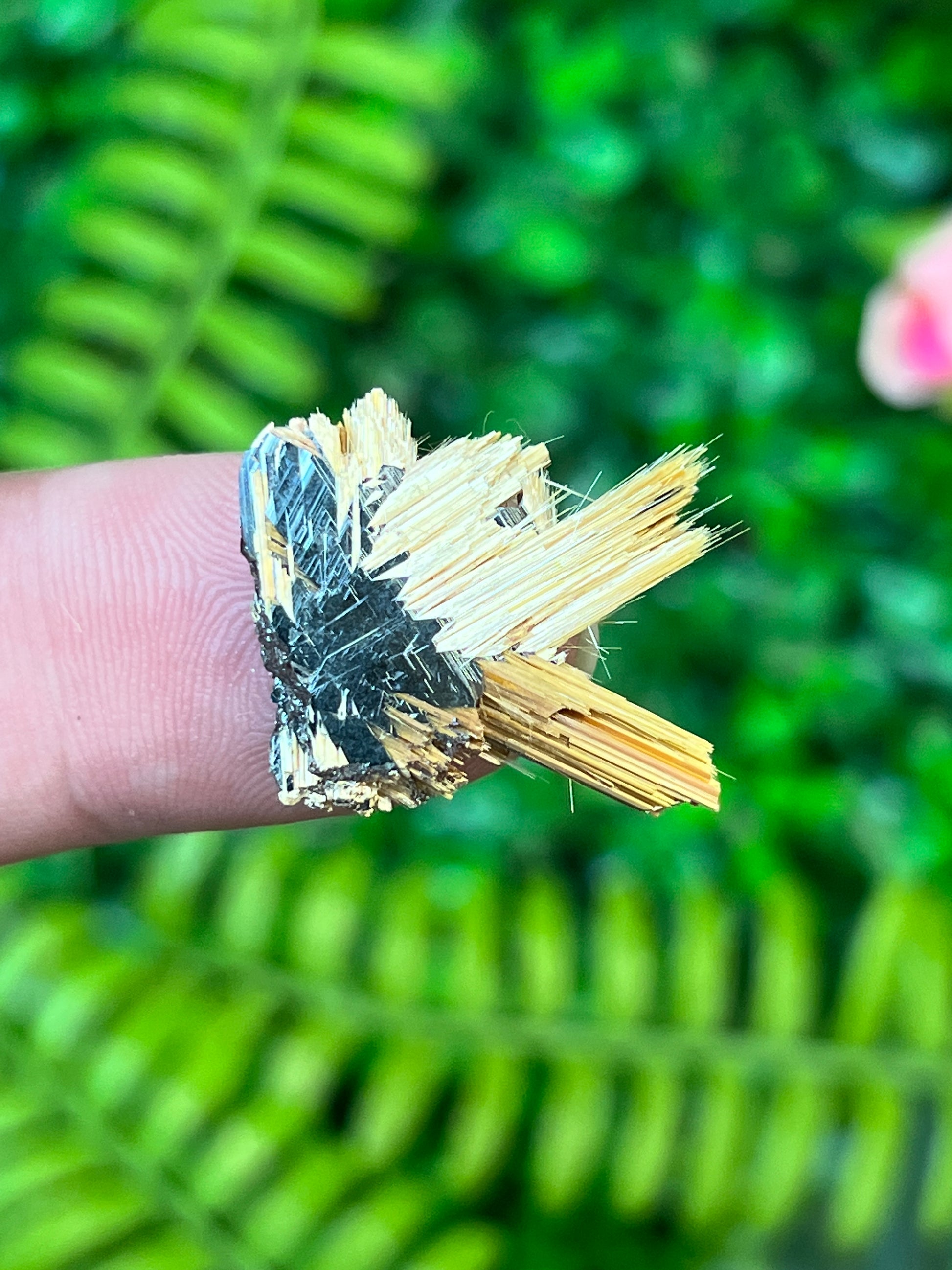 Rutile on Hematite