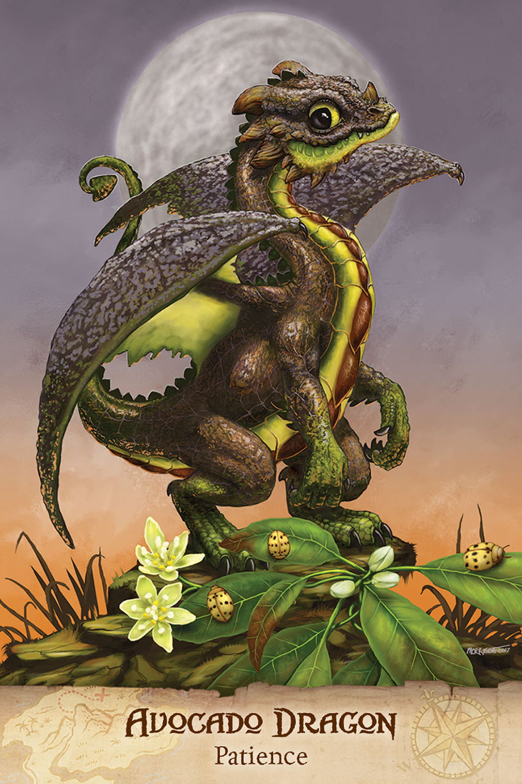 Field Guide to Garden Dragons Oracle Deck